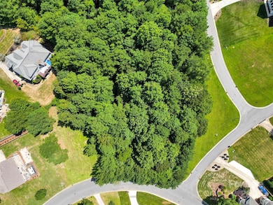 000 Verdict Ridge Dr unit 284, Denver, NC 28037 - photo 3