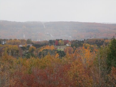 0 Valleyview Ridge unit 3 21113508, Manistee, MI 49660 - photo 3