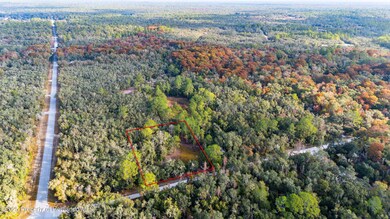 0 Rose Bloom Lot 7 Ave unit 2256782, Webster, FL 33597 - photo 4