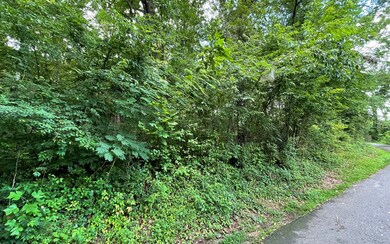 Additional View