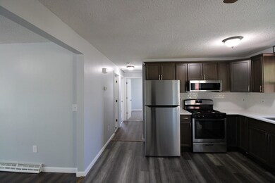 14 Lorimer St, Indian Orchard, MA 01151 - photo 7