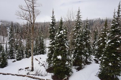 223 W Hunter Ridge Dr unit E306, Brian Head, UT 84719 - photo 4