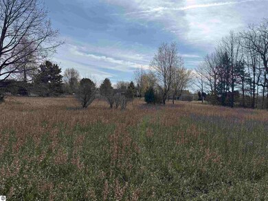 1016 Pyrenees Dr, Lake Isabella, MI 48893 - photo 4