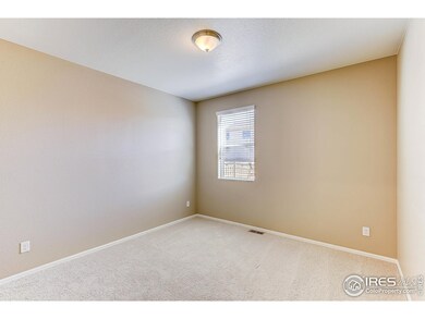 6185 Yellowtail St, Timnath, CO 80547 - photo 7