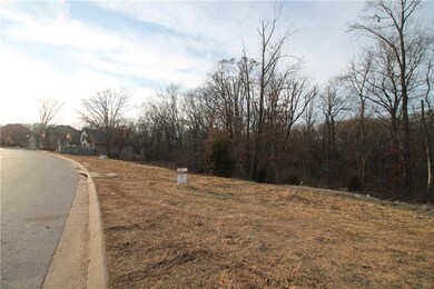 Photo of two separate lots available next to each