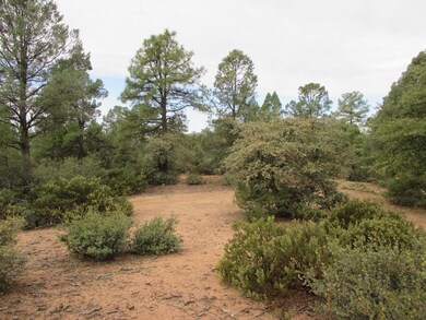 1404 E Graham Ranch Trail, Payson, AZ 85541 - photo 3