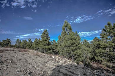 5163 Walden Loop, Helena, MT 59602 - photo 2