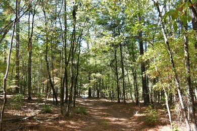 1350 Grover Wilson Rd, Blythewood, SC 29016 - photo 5