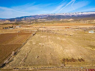 TBD NW Sage Ave, Cedaredge, CO 81413 - photo 6