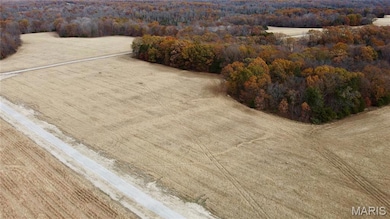 Tract 11 Polston Ln, Hickory Grove Township, MO 63357 - photo 7