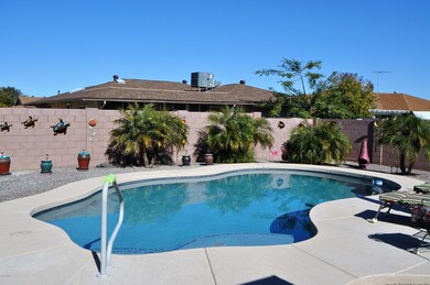Salt play pool with baha benches