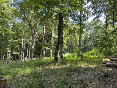 Level 2-3 acres, perfect build site. Photo taken 8-27-2022.