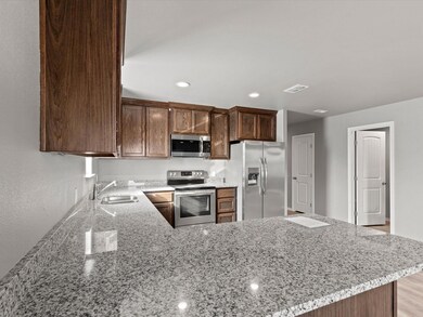 133 Abbey Park Ct, Granbury, TX 76049 - photo 5