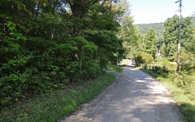 Additional View