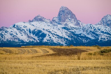 SHR - Teton View