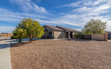 Calle Franja Verde-10