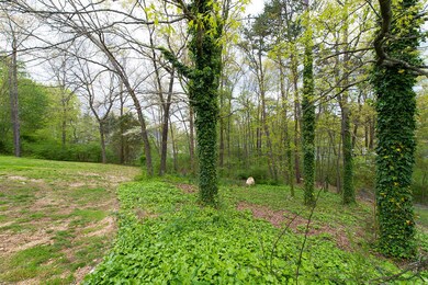 9117 Quail Run Dr 3 DMA_9412-L