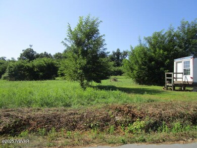 205 16th St, Northumberland, PA 17857 - photo 7