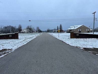 0 Saint Andrews Place, Tollesboro, KY 41189 - photo 2