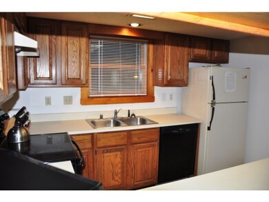 4 Newfane Cir unit 4B, Dover, VT 05356 - photo 4