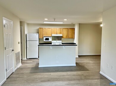 725 Denali Way unit 101, Charlottesville, VA 22903 - photo 4