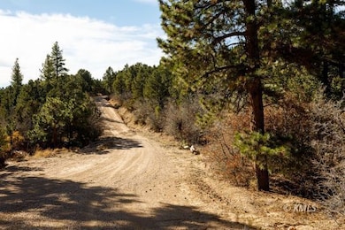 Crawford Canyon Rd - Facing South