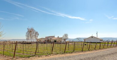 home vinyard