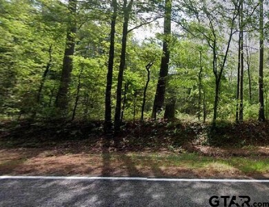 TBD Fm 16, Winona, TX 75792 - photo 7