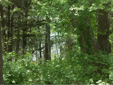 171 Elm Point Ln, Kimberling City, MO 65686 - photo 4