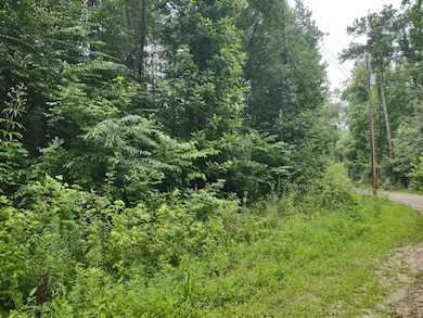 Morgan Branch Lane