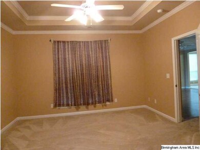 Master bedroom with tray ceilings