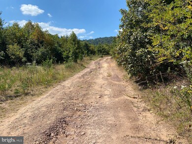 Lot 15 Jermikey Ct, Hedgesville, WV 25427 - photo 7