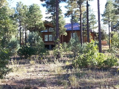 320 E Huckleberry Ln, Show Low, AZ 85901 - photo 3