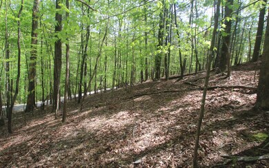Additional View