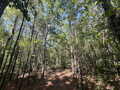 0 French Santee Rd unit 24022267, Jamestown, SC 29453 - photo 7