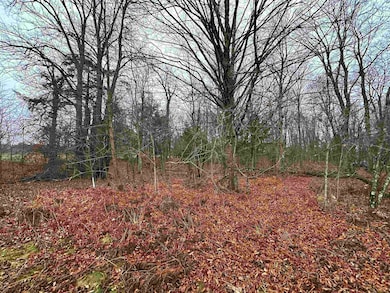 Lot 36 Fairway Dr, Pickerel, WI 54465 - photo 7