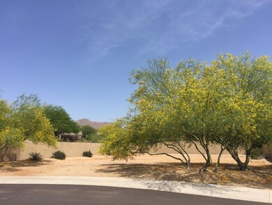 Mature Trees
