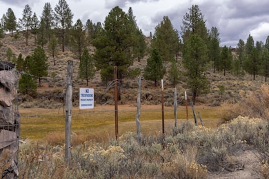 Burns-Izee Rd, Hines, OR 97738 - photo 6