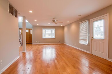 27NLocust-6