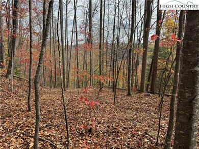 TBD Globe Rd, Lenoir, NC 28645 - photo 6