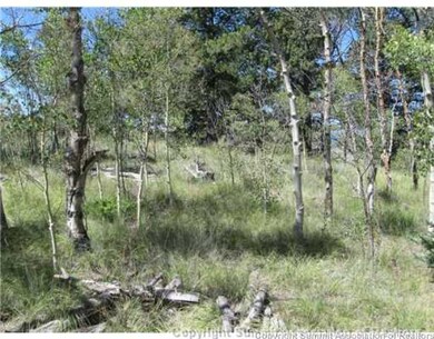 825 Osprey Rd, Como, CO 80432 - photo 2