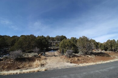 2976 Juniper Way unit Lot 243, New Harmony, UT 84757 - photo 3