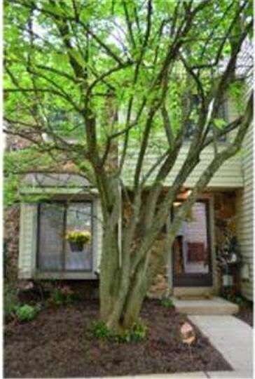 21 Flintlock Ln, Chesterbrook, PA 19087 - photo 2