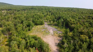 1078 General Leroy Manor Rd, Dannemora, NY 12929 - photo 7