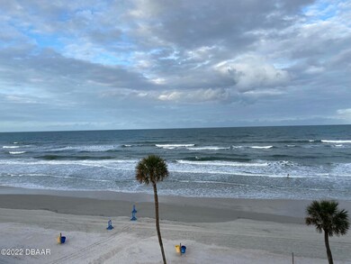 Beach palms