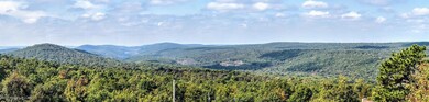 IMG_3710