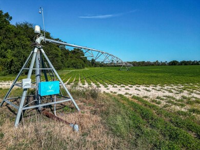 Pullen Rd, Damascus, GA 39841 - photo 7