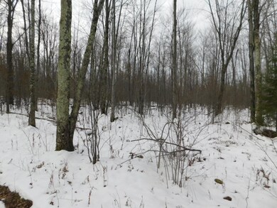 40 Acres Cth T, Tripoli, WI 54564 - photo 3