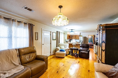 12099 Georgia 93, Baconton, GA 31716 - photo 3