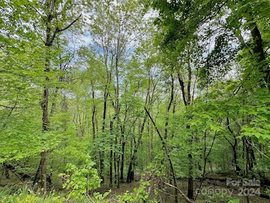 TBD Alpine Dr unit 33, Seven Devils, NC 28604 - photo 7